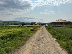 Teren intravilan de Vanzare in Magura Bacau - imagine 6