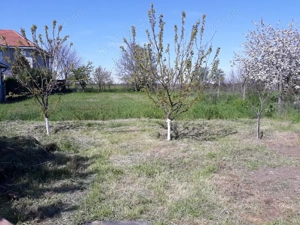 vanzare casa valu lui traian - imagine 2