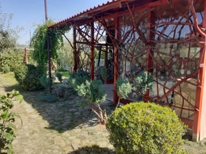 Vilă P+M în Dărmănești Jud Bacău  - imagine 4