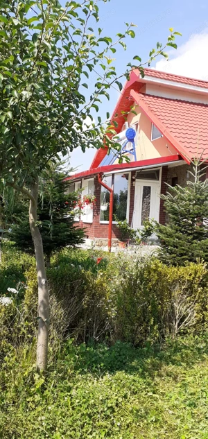 Vilă P+M în Dărmănești Jud Bacău  - imagine 2