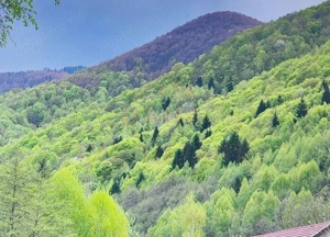 CASĂ\VILĂ DE VÂNZARE\ COMUNA MARGA\JUD. CARAȘ-SEVERIN\COMISION O% - imagine 16