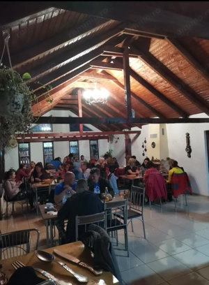 CASĂ\VILĂ DE VÂNZARE \COM. OBREJA\SAT IAZ\CARAȘ-SEVERIN - imagine 14