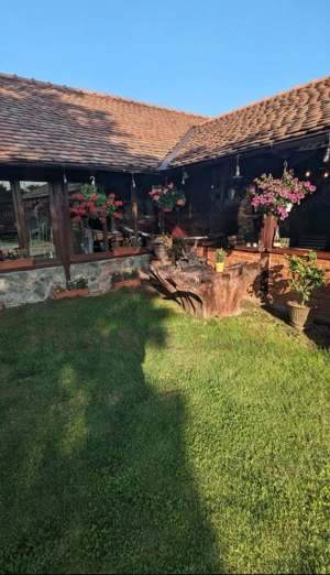 CASĂ\VILĂ DE VÂNZARE \COM. OBREJA\SAT IAZ\CARAȘ-SEVERIN - imagine 10