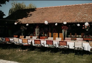 CASĂ\VILĂ DE VÂNZARE \COM. OBREJA\SAT IAZ\CARAȘ-SEVERIN - imagine 2