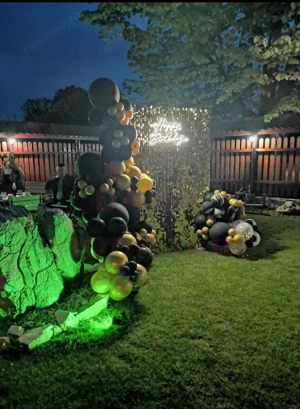 CASĂ\VILĂ DE VÂNZARE \COM. OBREJA\SAT IAZ\CARAȘ-SEVERIN - imagine 9