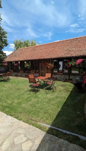 CASĂ\VILĂ DE VÂNZARE \COM. OBREJA\SAT IAZ\CARAȘ-SEVERIN - imagine 7