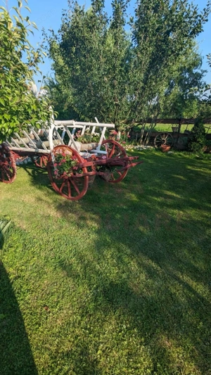 CASĂ\VILĂ DE VÂNZARE \COM. OBREJA\SAT IAZ\CARAȘ-SEVERIN - imagine 13