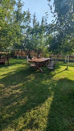 CASĂ\VILĂ DE VÂNZARE \COM. OBREJA\SAT IAZ\CARAȘ-SEVERIN - imagine 11