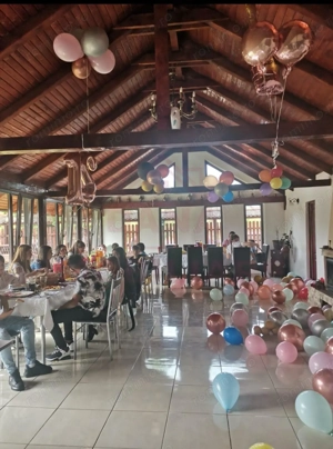 CASĂ\VILĂ DE VÂNZARE \COM. OBREJA\SAT IAZ\CARAȘ-SEVERIN - imagine 16