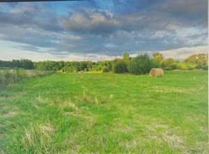 TEREN INTRAVILAN CU PUZ\ 704 MP\CARANSEBEȘ\ ZONA TEIUȘ