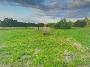 TEREN INTRAVILAN CU PUZ\ 704 MP\CARANSEBEȘ\ ZONA TEIUȘ - imagine 4