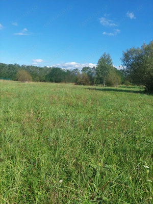 TEREN INTRAVILAN\699 mp, 45€ mp\ CARANSEBEȘ\ ZONA TEIUȘ - imagine 6
