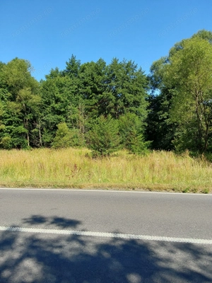 TEREN INTRAVILAN ÎN MARGA-LA DN68 JUD.CARAȘ-SEVERIN - imagine 3