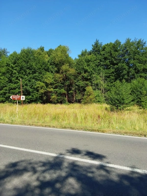 TEREN INTRAVILAN ÎN MARGA-LA DN68 JUD.CARAȘ-SEVERIN