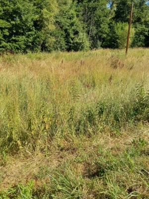 TEREN INTRAVILAN ÎN MARGA-LA DN68 JUD.CARAȘ-SEVERIN - imagine 7