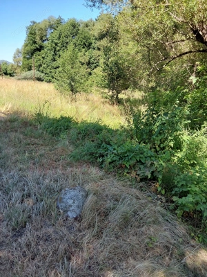 TEREN INTRAVILAN ÎN MARGA-LA DN68 JUD.CARAȘ-SEVERIN - imagine 5