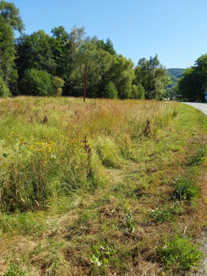 TEREN INTRAVILAN ÎN MARGA-LA DN68 JUD.CARAȘ-SEVERIN - imagine 6