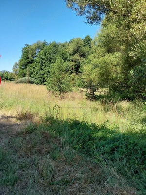 TEREN INTRAVILAN ÎN MARGA-LA DN68 JUD.CARAȘ-SEVERIN - imagine 4