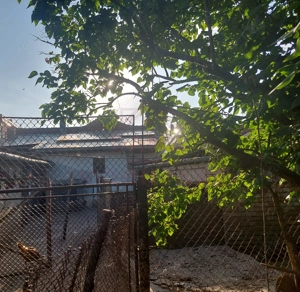 CASĂ 5 CAMERE\ OȚELU-ROȘU\ZONA CIREȘA \ COMISION 0% - imagine 17