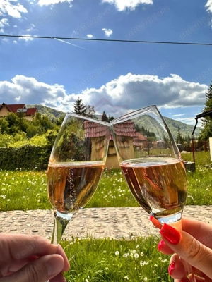 Casă/Vilă la cheie/115mp în Poiana Mărului, jud Caras Severin - imagine 9