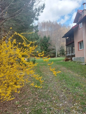 CASĂ DE VACANȚĂ 5 CAMERE,POINANA MĂRULUI, JUD.CARAȘ-SEVERIN - imagine 2