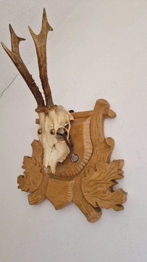vand trofeu vânătoare 