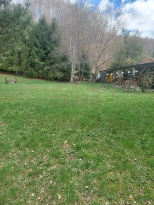 CASĂ DE VACANȚĂ 5 CAMERE,POINANA MĂRULUI, JUD.CARAȘ-SEVERIN - imagine 5