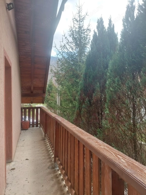 CASĂ DE VACANȚĂ 5 CAMERE,POINANA MĂRULUI, JUD.CARAȘ-SEVERIN - imagine 20