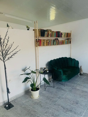 Spatiu de închiriat  Timis 