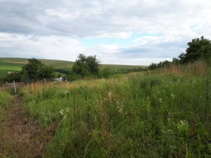 Vand teren 2300 mp in sat Rediu, comuna Aiton, 19 km fata de centrul Clujului, 34 euro mp, 79.000 eu - imagine 2