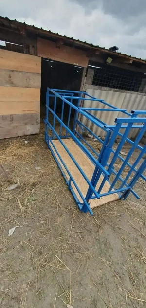 Lada transport Porci - imagine 2