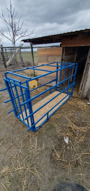 Lada transport Porci