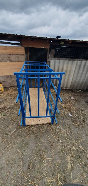 Lada transport Porci - imagine 3