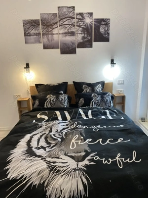 Inchiriez apartament 2 camere, zona Parcul Carol - imagine 3