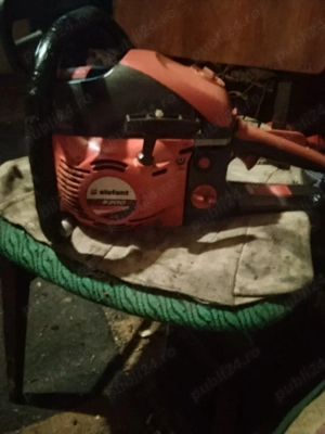 de vanzare durjba elefant 5200