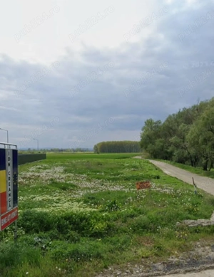 Teren intravilan 2600 mp,intrare Ion Creangă - imagine 3