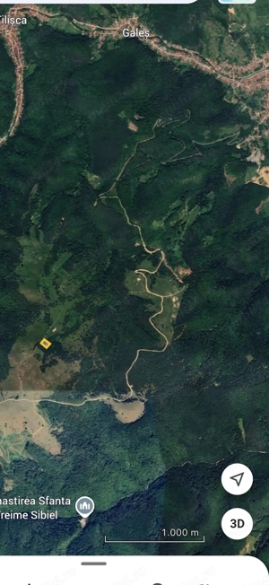 teren estravilan padure - imagine 3