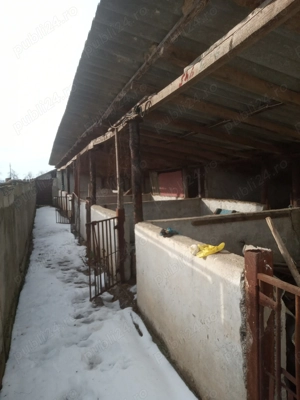 Casa la tara, jud Tulcea - imagine 2