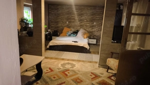 Casa de vacanta la Periam port - imagine 3