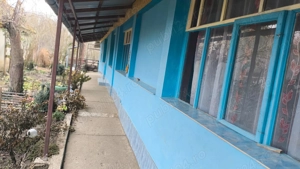 Casa de vacanta la Periam port - imagine 2