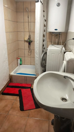 Casa de vacanta la Periam port - imagine 4