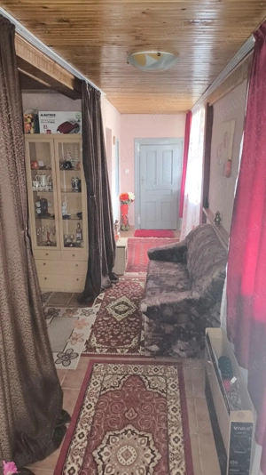 Casa de vacanta la Periam port - imagine 6