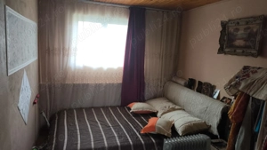 Casa de vacanta la Periam port - imagine 8