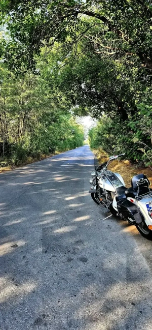 Suzuki bulevard c90 2007 - imagine 2