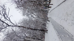 New in town and sites 