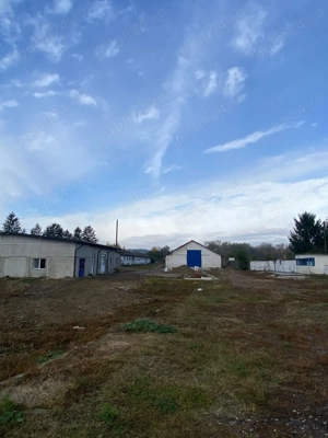 Spații de închiriat la preț accesibil  - imagine 4