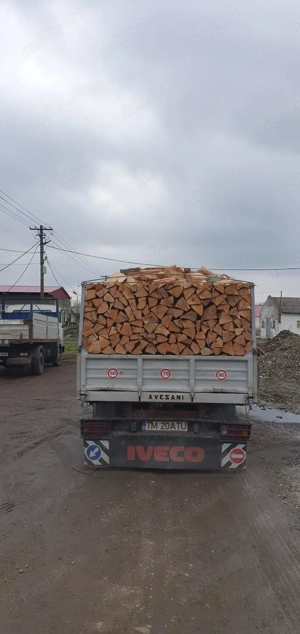 De vanzare lemn de fag mașina disponibilă - imagine 2