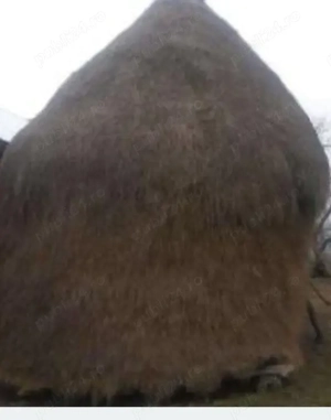 vand lucerna cu fan amestecata