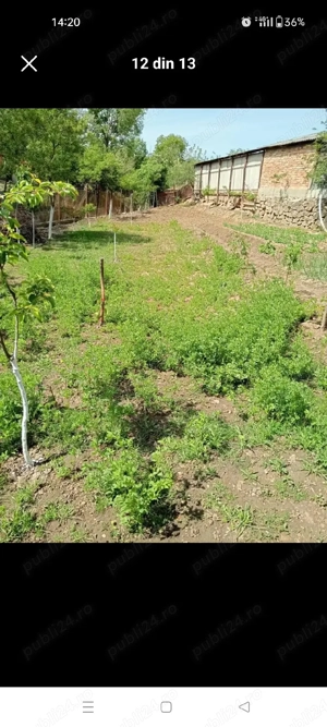 Casa de vanzare in Suplacu de Barcău. - imagine 5