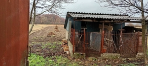 Vând casă în Vadu Crișului - imagine 4